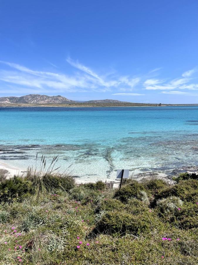 Vista Mare Hébergement de vacances