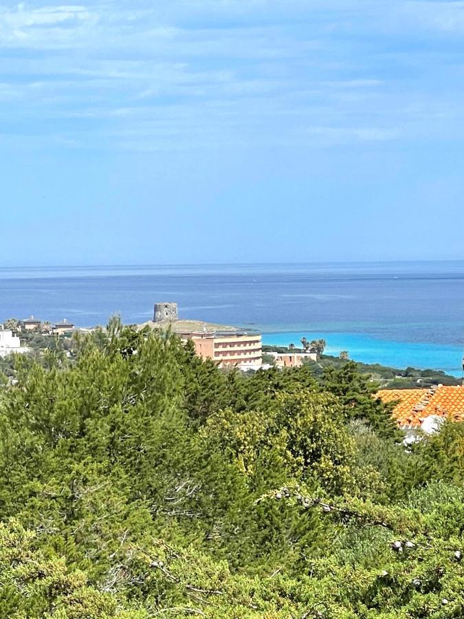 Vista Mare * Stintino
